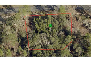 3198 MONTGOMERY LANE, CITRUS SPRINGS, FL 34433 - MLS#MFRA4577432