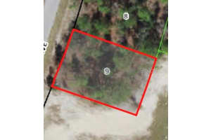 9805 EMELLIA AVENUE, CITRUS SPRINGS, FL 34433 - MLS#MFRA4577446