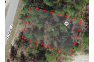 9819 EMELLIA AVENUE, CITRUS SPRINGS, FL 34433 - MLS#MFRA4577447