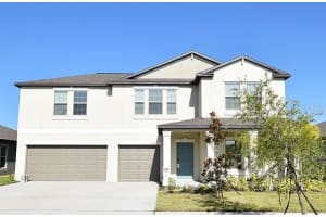 16635 CARLTON POND STREET, WIMAUMA, FL 33598 Sold 12/29/23