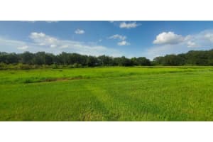 5923 SWEET BIRCH DRIVE, RIVERVIEW, FL 33578 Sold 03/22/24