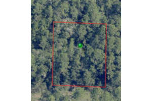 225 ENFIELD LANE, CITRUS SPRINGS, FL 34434 - MLS#MFRA4578224