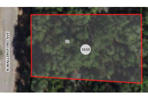 8317 WALLINGFORD AVENUE, CITRUS SPRINGS, FL 34434 - MLS#MFRA4578246