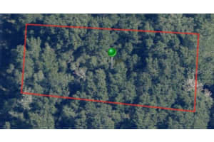 8317 WALLINGFORD AVENUE, CITRUS SPRINGS, FL 34434 - MLS#MFRA4578246