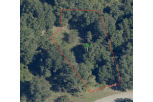 8047 ELWOOD WAY, CITRUS SPRINGS, FL 34434 - MLS#MFRA4578258