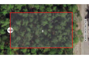 8730 WALLINGFORD AVENUE, CITRUS SPRINGS, FL 34434 - MLS#MFRA4578272