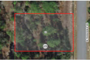 9800 PARADISEA DRIVE, CITRUS SPRINGS, FL 34433 - MLS#MFRA4578286