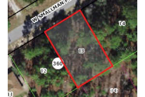 816 SMALLMAN PLACE, CITRUS SPRINGS, FL 34434 - MLS#MFRA4578405