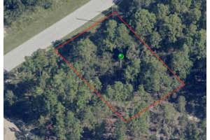 816 SMALLMAN PLACE, CITRUS SPRINGS, FL 34434 - MLS#MFRA4578405