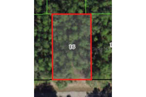 368 E Mc Faddin Pl, CITRUS SPRINGS