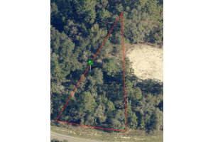 6960 LIME DRIVE, CITRUS SPRINGS, FL 34433 - MLS#MFRA4578430