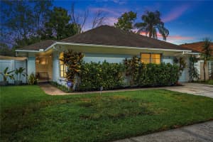 5942 BIRCHWOOD DRIVE, TAMPA, FL 33625 Sold 11/03/23
