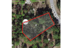 6664 BUCKSKIN DRIVE, CITRUS SPRINGS, FL 34434 - MLS#MFRA4580542