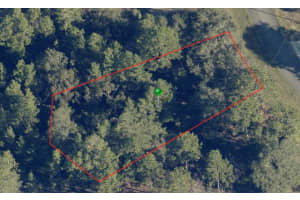 6664 BUCKSKIN DRIVE, CITRUS SPRINGS, FL 34434 - MLS#MFRA4580542