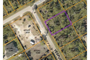 VESPUCIUS ST, NORTH PORT, FL 34287 - MLS#MFRA4580897
