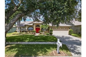1607 LORIANA STREET, BRANDON, FL 33511 Sold 12/14/23