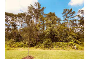 1455 BROAD WING LANE, WINTER PARK, FL 32792 Sold 03/01/24