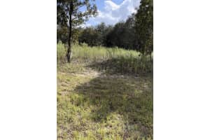 1656 HAMPSHIRE BOULEVARD, CITRUS SPRINGS, FL 34434 - MLS#MFRA4587375