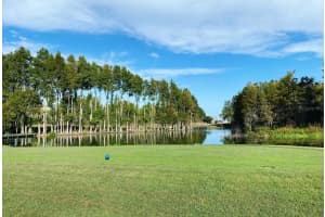18418 BLUE HERON CIRCLE, DEER ISLAND, FL 32778 Sold 06/21/24
