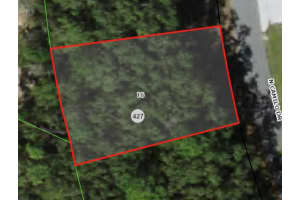 2947 CAMILO DRIVE, CITRUS SPRINGS, FL 34434 - MLS#MFRA4588222