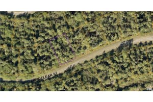 1127226126 LARGELEAF STREET, NORTH PORT, FL 34288 - MLS#MFRA4589648