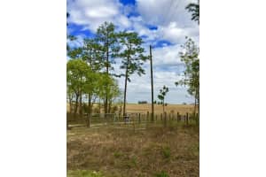 NW FALCON AVE, DUNNELLON, FL 34431 - MLS#MFRA4595252
