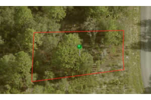 6692 BUCKSKIN DRIVE, CITRUS SPRINGS, FL 34434 - MLS#MFRA4595527