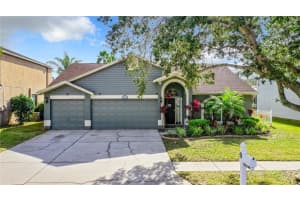 12816 ROYAL GEORGE AVENUE, ODESSA, FL 33556 Sold 04/22/24