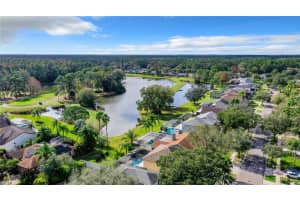 12816 ROYAL GEORGE AVENUE, ODESSA, FL 33556 Sold 04/22/24