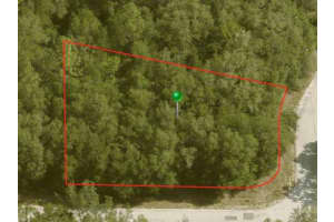 10098 HALSEY WAY, CITRUS SPRINGS, FL 34434 - MLS#MFRA4596016