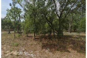 1592 SWANSON DRIVE, CITRUS SPRINGS, FL 34434 - MLS#MFRA4596103