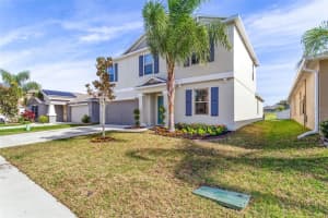 10120 CRESTED FRINGE DRIVE, RIVERVIEW, FL 33578 Sold 05/24/24