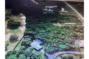 2981 CHALLENGE COURT, CITRUS SPRINGS, FL 34434 - MLS#MFRA4597308