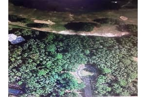 2981 CHALLENGE COURT, CITRUS SPRINGS, FL 34434 - MLS#MFRA4597308