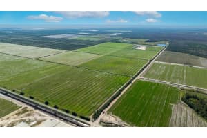 43521 NEAL ROAD, PUNTA GORDA, FL 33982 - MLS#MFRA4598324
