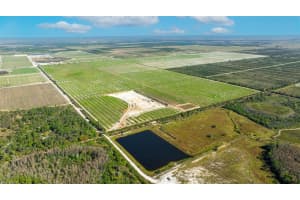 43521 NEAL ROAD, PUNTA GORDA, FL 33982 - MLS#MFRA4598324