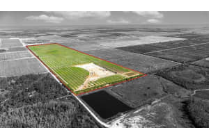 43521 NEAL ROAD, PUNTA GORDA, FL 33982 - MLS#MFRA4598324