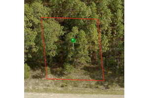 1233 RILEY DRIVE, CITRUS SPRINGS, FL 34434 - MLS#MFRA4599087