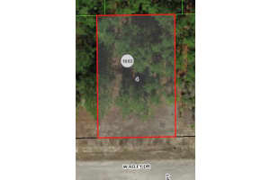 1233 RILEY DRIVE, CITRUS SPRINGS, FL 34434 - MLS#MFRA4599087