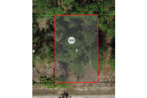 1245 RILEY DRIVE, CITRUS SPRINGS, FL 34434 - MLS#MFRA4599090