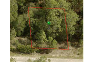 1245 RILEY DRIVE, CITRUS SPRINGS, FL 34434 - MLS#MFRA4599090