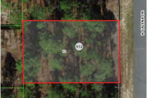 7802 GALENA AVENUE, CITRUS SPRINGS, FL 34434 - MLS#MFRA4599101