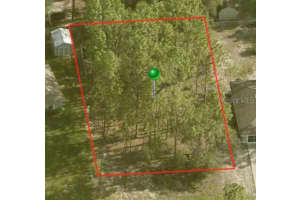 1883 OLIVER DRIVE, CITRUS SPRINGS, FL 34434 - MLS#MFRA4599106