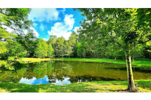 17362 OLD TOBACCO ROAD, LUTZ, FL 33558 Sold 03/25/24