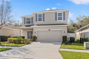 11619 STORYWOOD DRIVE, RIVERVIEW, FL 33578 Sold 06/14/24