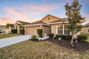 14222 EDINBURGH MOOR DRIVE, WIMAUMA, FL 33598 Sold 06/18/24
