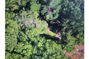 9125 KIOWA DRIVE, NEW PORT RICHEY, FL 34654 Sold 01/24/25