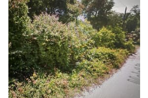 MALATI ST, NEW PORT RICHEY, FL 34654 - MLS#MFRA4601171