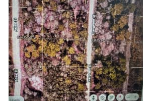 EVERGREEN ST, NEW PORT RICHEY, FL 34654 - MLS#MFRA4601186