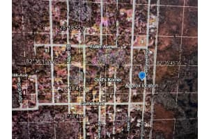 EVERGREEN ST, NEW PORT RICHEY, FL 34654 - MLS#MFRA4601186